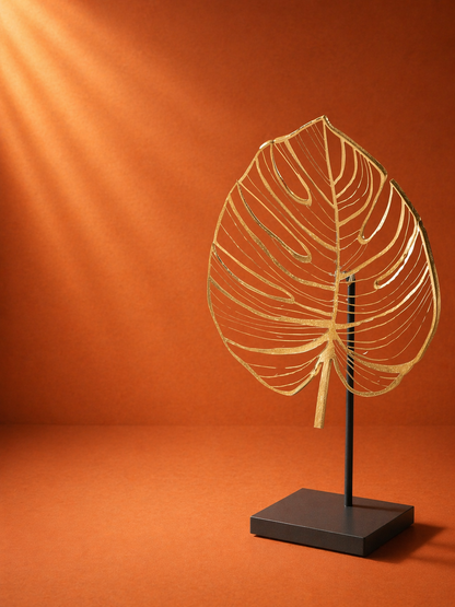 Monstera - Bolluk