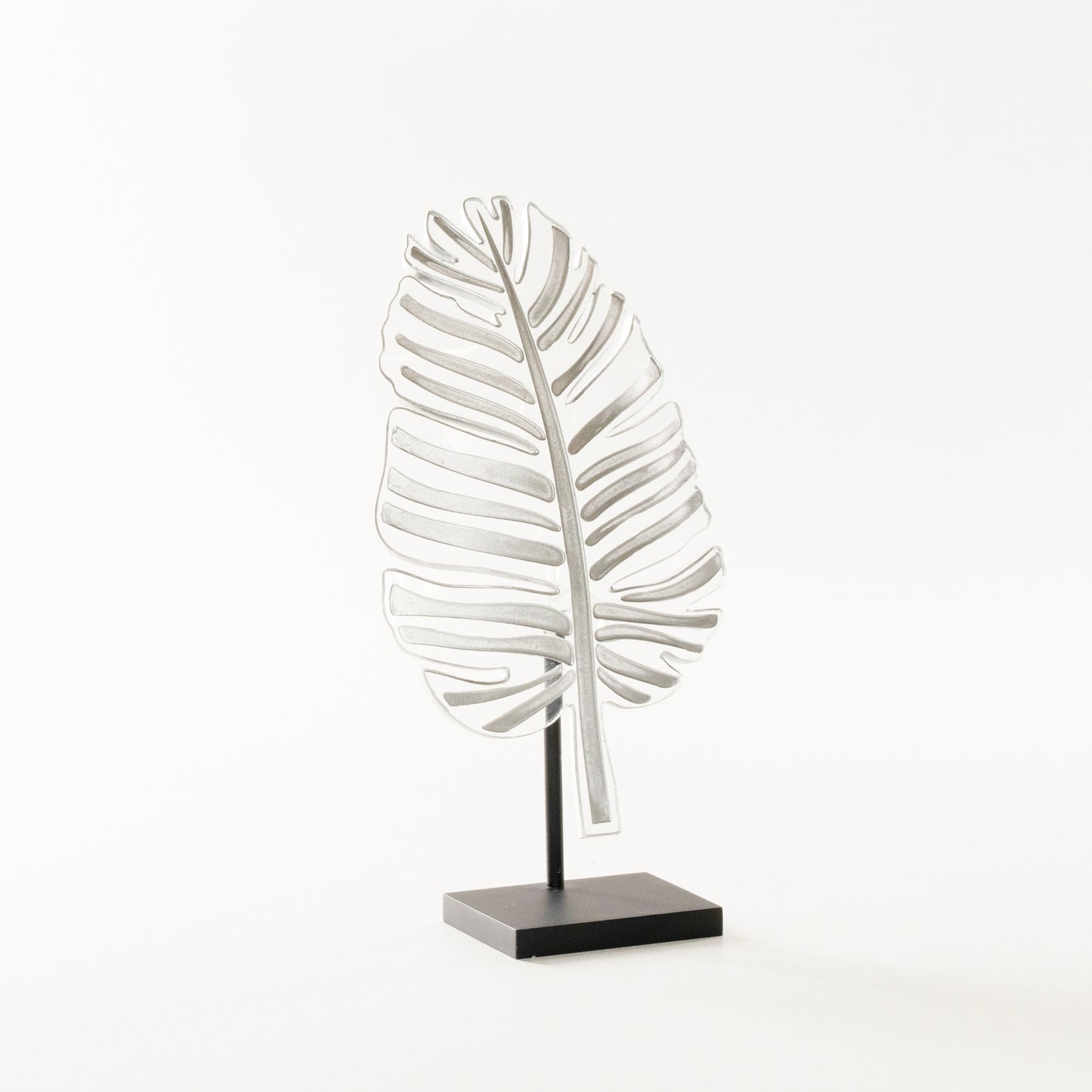 Monstera - Aura