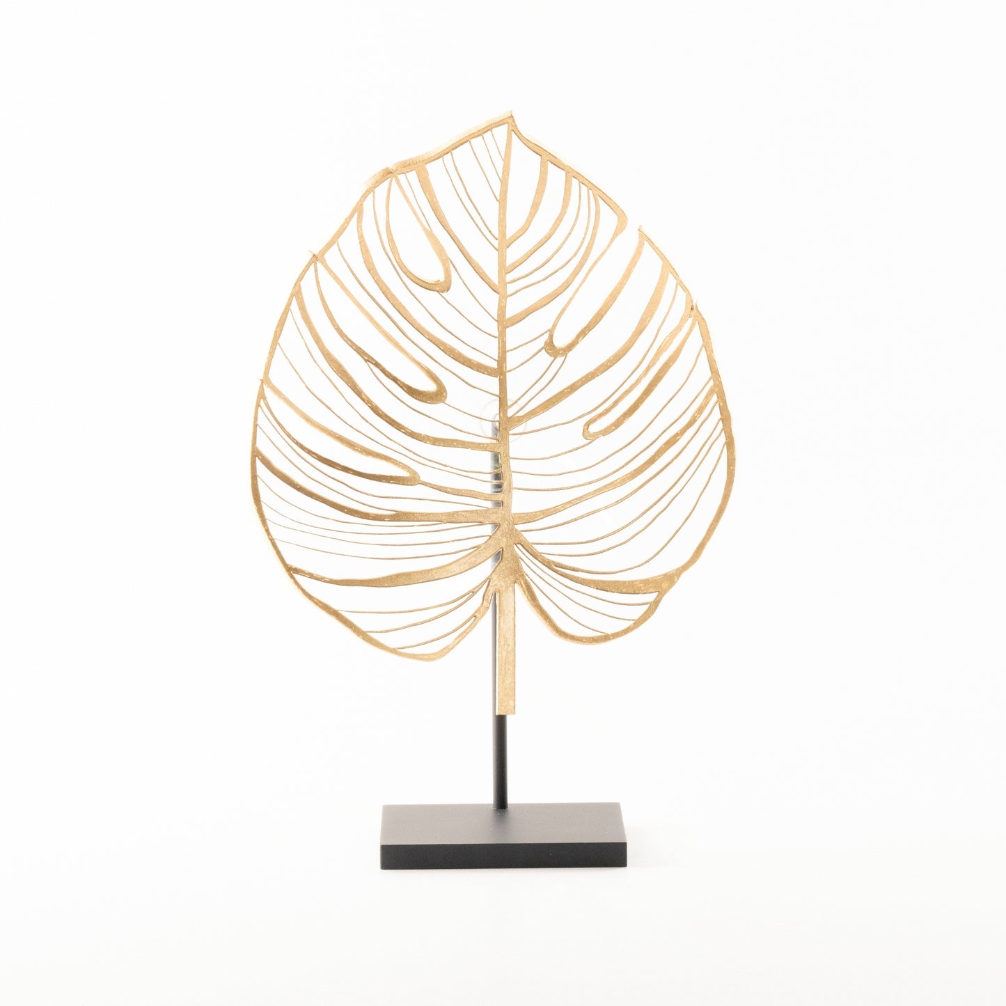 Monstera - Bolluk
