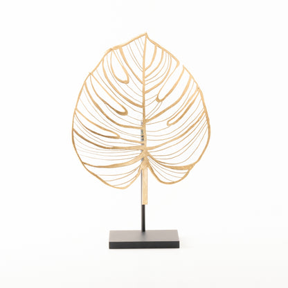 Monstera - Bolluk