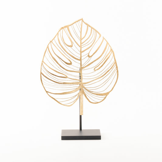 Monstera - Bolluk