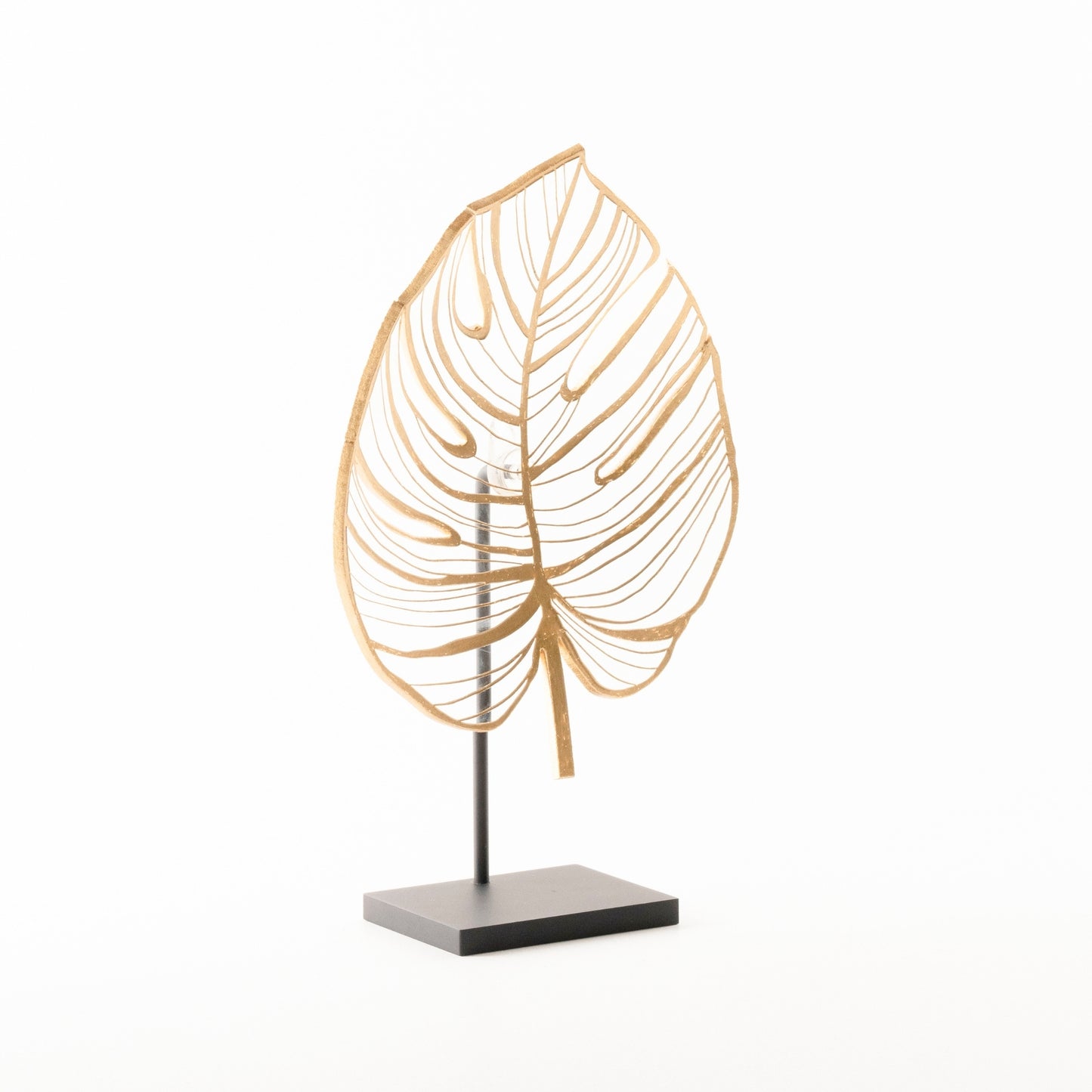 Monstera - Bolluk