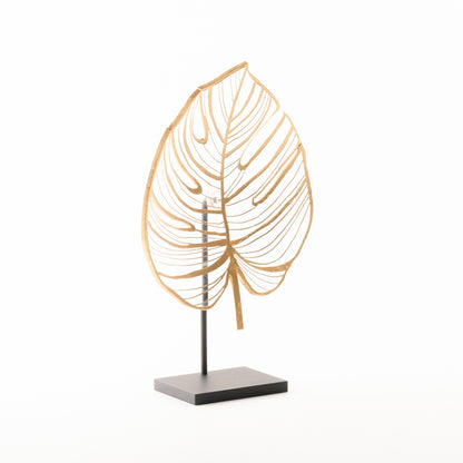 Monstera - Bolluk