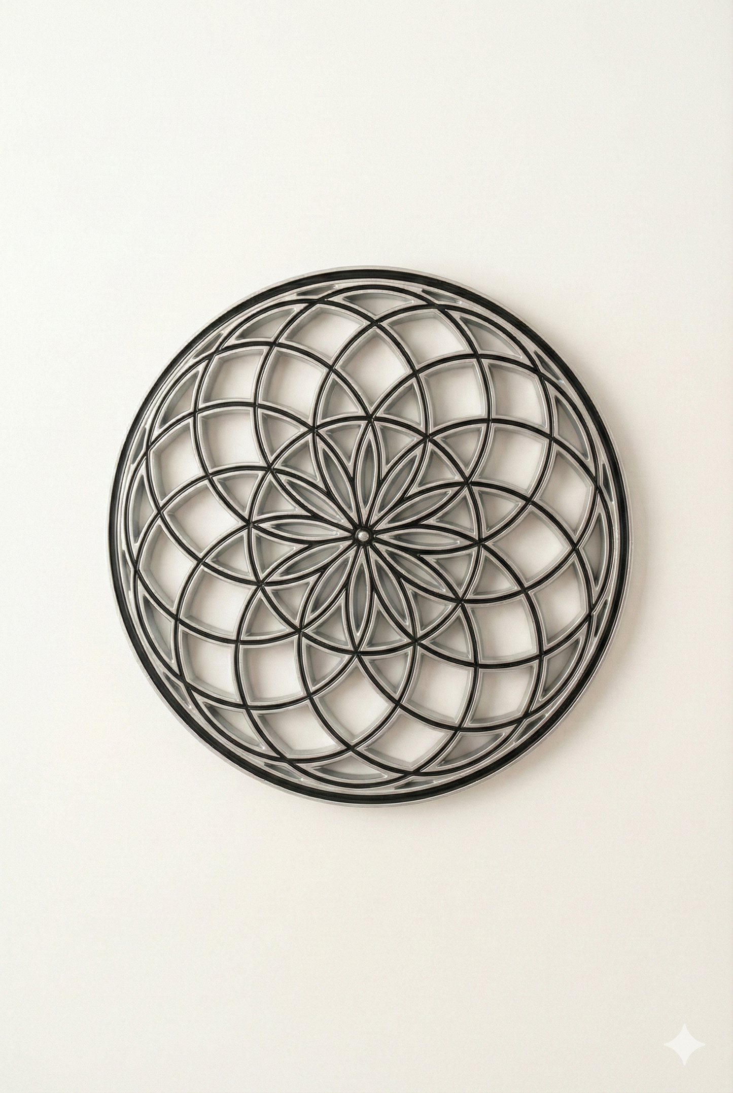 Torus Duvar Obje