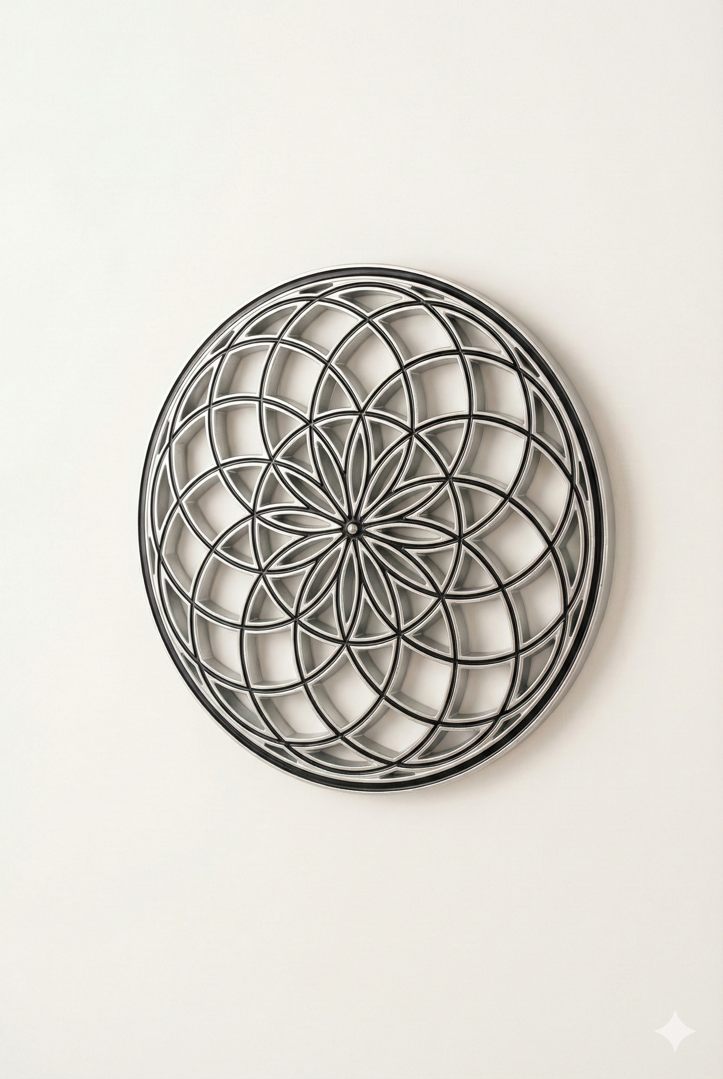 Torus Duvar Obje