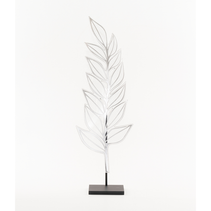 Zamia