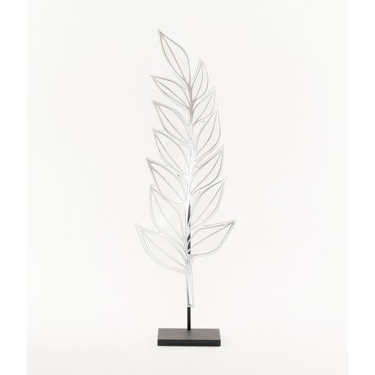 Zamia