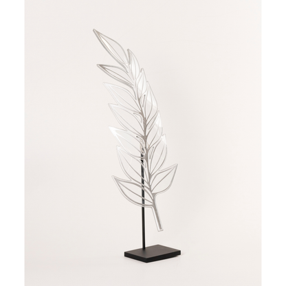 Zamia