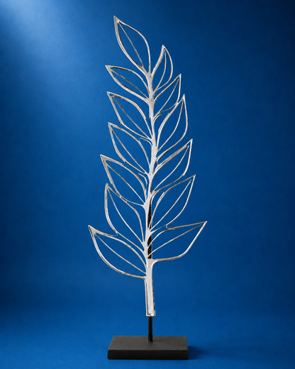 Zamia