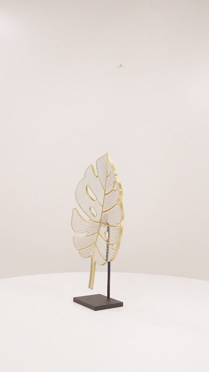 Monstera - Olgun