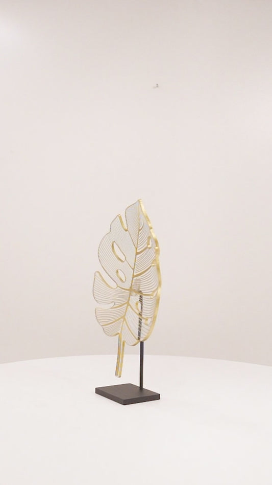 Monstera - Olgun